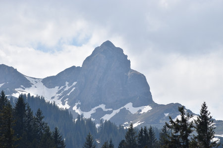 Beautiful alpine scenery at Flumsreberg in Switzerland 17.5.2020の写真素材