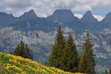 Beautiful alpine scenery at Flumsreberg in Switzerland 17.5.2020の写真素材