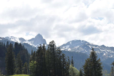 Beautiful alpine scenery at Flumsreberg in Switzerland 17.5.2020の写真素材