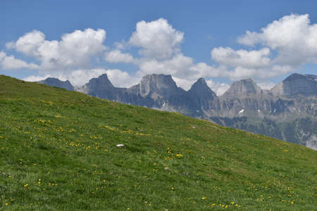 Spring feelings in the lovely nature at Flumserberg in Switzerland 17.5.2020の写真素材