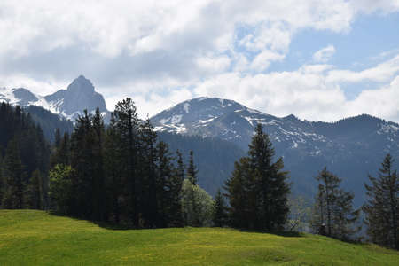 Spring feelings in the lovely nature at Flumserberg in Switzerland 17.5.2020の写真素材
