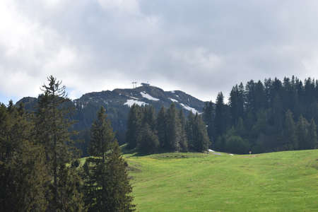 Spring feelings in the lovely nature at Flumserberg in Switzerland 17.5.2020の写真素材
