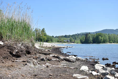 Stones at the coast of the Sihlsee in Switzerland 18.5.2020の写真素材