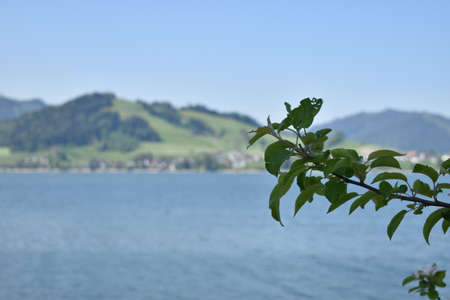 View over the Sihlsee in Switzerland 18.5.2020の写真素材
