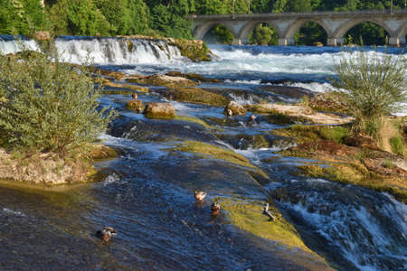 Visitation at europes greatest waterfalls near Schaffhausen in Switzerland 20.5.2020の写真素材