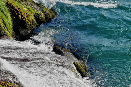 Heron is waiting to catch some fish at the rhine falls in Switzerland 20.5.2020の写真素材