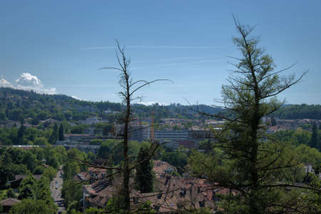 Countryside around the city of Bern in Switzerland 21.5.2020のeditorial素材