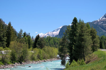Pretty little mountain river in the Engadine region in Switzerland 27.5.2020の写真素材