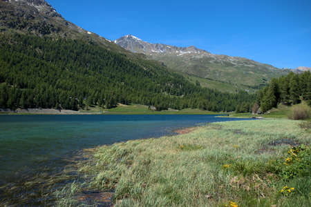 View over the lake of Silvaplana in the Engadine region in Switzerland 27.5.2020の写真素材