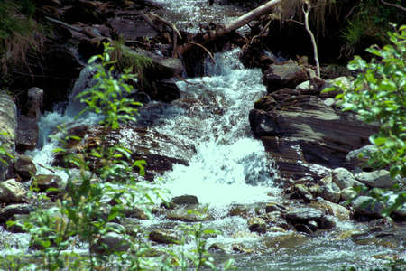 Beautiful cascade in the countryside of the Weisstannental in Switzerland 28.5.2020の写真素材