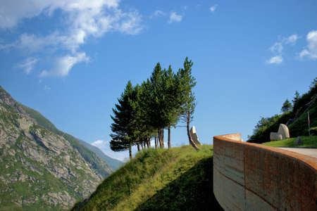 Trees on a hill at the Lukmanierpass in Switzerland 30.7.2020