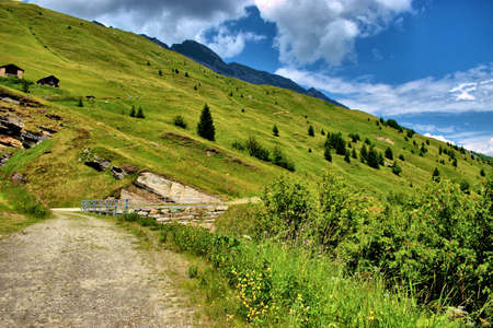 Summer feelings in the alps in Vals in Switzerland 31.7.2020の写真素材