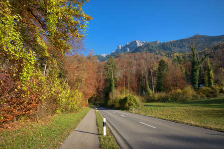 Beautiful colors in the nature in Planken in Liechtenstein 11.11.2020の写真素材