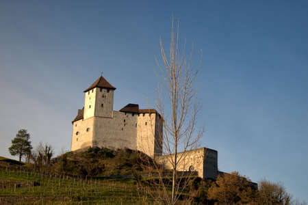 Historic old castle visible in Balzers in Liechtenstein 17.11.2020のeditorial素材