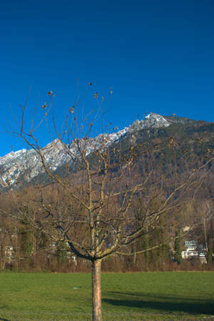 Adorable nature and alpine scenery in Vaduz in Liechtenstein 16.12.2020の写真素材