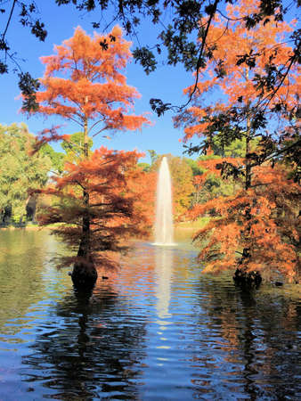 Pretty lake with a water fountain and a colorful mood in a park in Madrid in Spain 11.11.2016