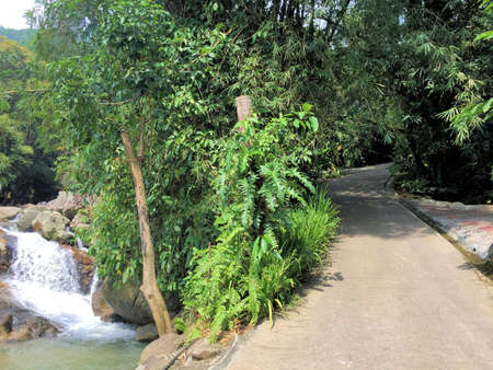 Lovely waterfall flows through a jungle in Koh Samui in Thailand 14.1.2018