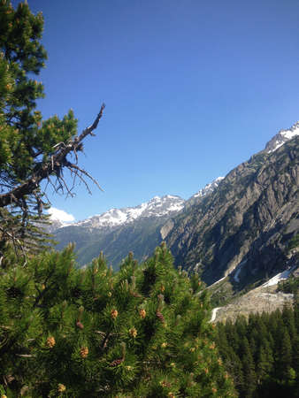Beautiful alpine scenery in Handegg in Switzerland 6.6.2015
