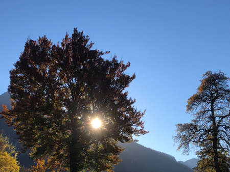 Schaan, Liechtenstein, October 27, 2021 Early morning scenery with the sun behind a tree