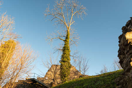 Schellenberg, Liechtenstein, December 31, 2021 Historic old castle ruin from the mid ageのeditorial素材