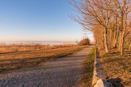 Altenrhein, Switzerland, February 9, 2022 Natural scenery at the coast of the lake of Constance