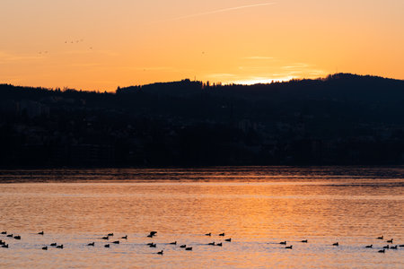 Altenrhein, Switzerland, February 9, 2022 Lovely and colorful sky after sunset at the lake of...