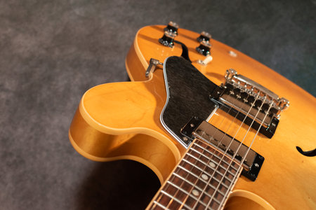 Vaduz, Liechtenstein, January 13, 2023 Product shot of a Gibson ES-335 electric guitar made in the USAのeditorial素材