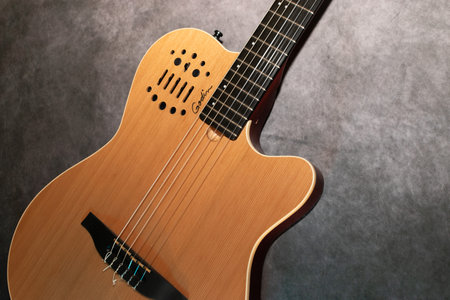 Vaduz, Liechtenstein, January 13, 2023 Product shot of a Godin nylon string acoustic guitarのeditorial素材