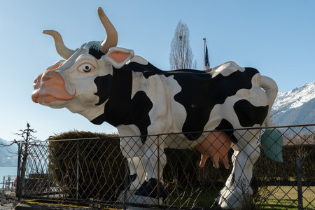Brienz, Switzerland, February 10, 2023 Sculpture of a typical swiss cow at the coast of the lake of Brienzのeditorial素材