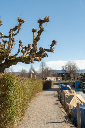 Unteraegeri, Switzerland, February 20, 2023 Small boats are covered and stored in a small canal at the lake Aegeriseeのeditorial素材