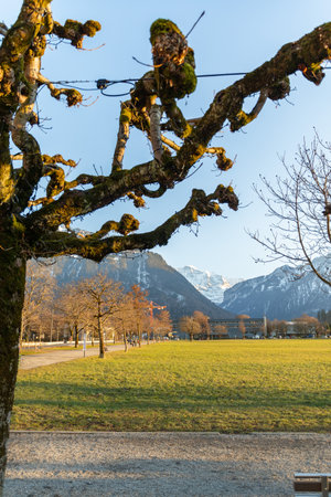 Interlaken, Switzerland, February 10, 2023 View over a green park and a fantastic mountain panorama in the city centerの写真素材