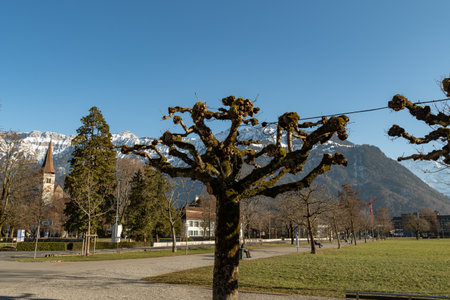 Interlaken, Switzerland, February 10, 2023 View over a green park and a fantastic mountain panorama in the city centerのeditorial素材
