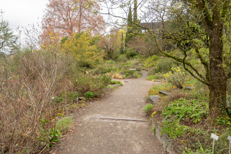 Zurich, Switzerland, April 20, 2023 Different plantations are exhibited at the beautiful botanical gardenの写真素材
