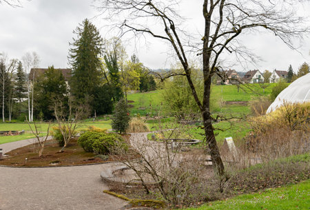 Zurich, Switzerland, April 20, 2023 Different plantations are exhibited at the beautiful botanical gardenの写真素材