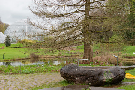 Zurich, Switzerland, April 20, 2023 Different plantations are exhibited at the beautiful botanical gardenの写真素材