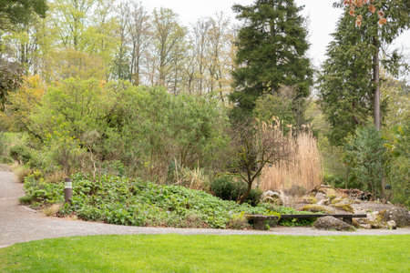 Zurich, Switzerland, April 20, 2023 Different plantations are exhibited at the beautiful botanical gardenの写真素材