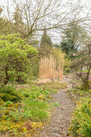 Zurich, Switzerland, April 20, 2023 Different plantations are exhibited at the beautiful botanical gardenの写真素材
