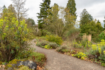 Zurich, Switzerland, April 20, 2023 Different plantations are exhibited at the beautiful botanical gardenの写真素材