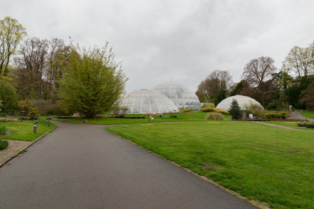 Zurich, Switzerland, April 20, 2023 Different plantations are exhibited at the beautiful botanical gardenの写真素材