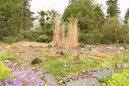 Zurich, Switzerland, April 20, 2023 Different plantations are exhibited at the beautiful botanical gardenの写真素材