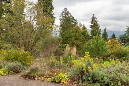 Zurich, Switzerland, April 20, 2023 Different plantations are exhibited at the beautiful botanical gardenの写真素材