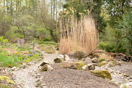 Zurich, Switzerland, April 20, 2023 Different plantations are exhibited at the beautiful botanical gardenの写真素材