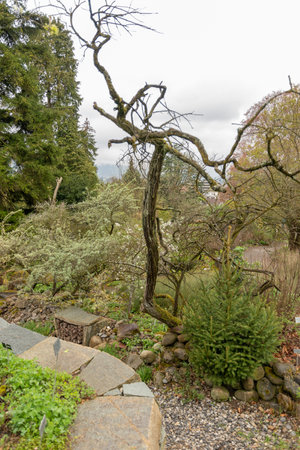 Zurich, Switzerland, April 20, 2023 Different plantations are exhibited at the beautiful botanical gardenの写真素材
