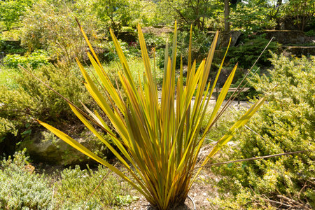 Zurich, Switzerland, May 22, 2023 Unknown,plant at the botanical gardenの写真素材