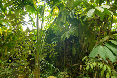 Zurich, Switzerland, May 24, 2023 Different tropical and exotic plantations are exhibited at the botanical gardenの写真素材