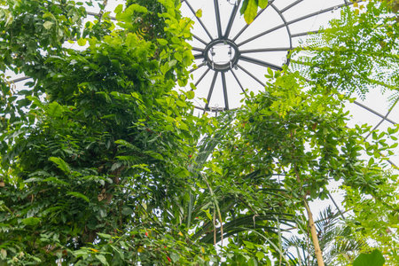 Zurich, Switzerland, May 24, 2023 Different tropical and exotic plantations are exhibited at the botanical gardenの写真素材