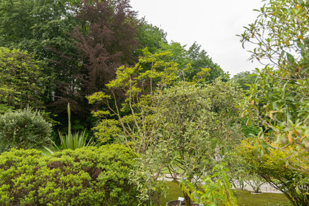 Zurich, Switzerland, May 24, 2023 Different exotic plantations are exhibited at the botanical gardenの写真素材