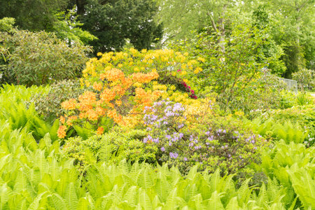 Zurich, Switzerland, May 9, 2023 Lovely mixed plants are growing in a public gardenの写真素材
