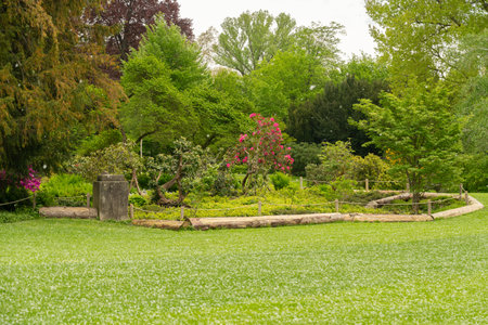 Zurich, Switzerland, May 9, 2023 Pretty green park at the lakeside near the city centerの写真素材