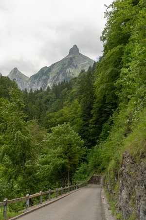 Waegital, Canton Schwyz, Switzerland, June 13, 2023 Peak of the mount Zindlenspitz protruding behind some green treesの写真素材